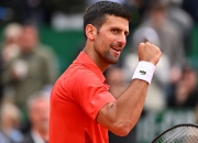 开云体育官方网站-德国网球队鏖战西班牙网球队，德约科维奇绝境逆转的简单介绍