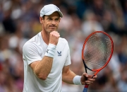 开云足球直播-德国网球队爆冷欧洲网球队，穆雷高光表现的简单介绍