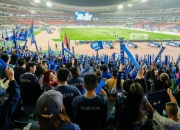 开云体育平台APP-福建队惊现黑马，逆袭震撼全场观众