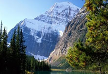 开云体育中国-波兰队横扫韩国队，张本智和关键制胜的简单介绍