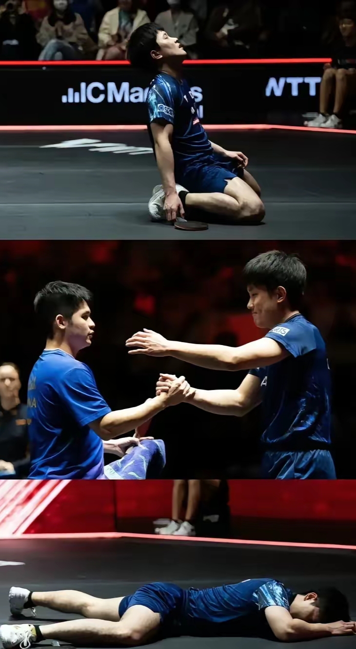 波兰乒乓球队横扫韩国乒乓球队，张本智和制霸全场的简单介绍