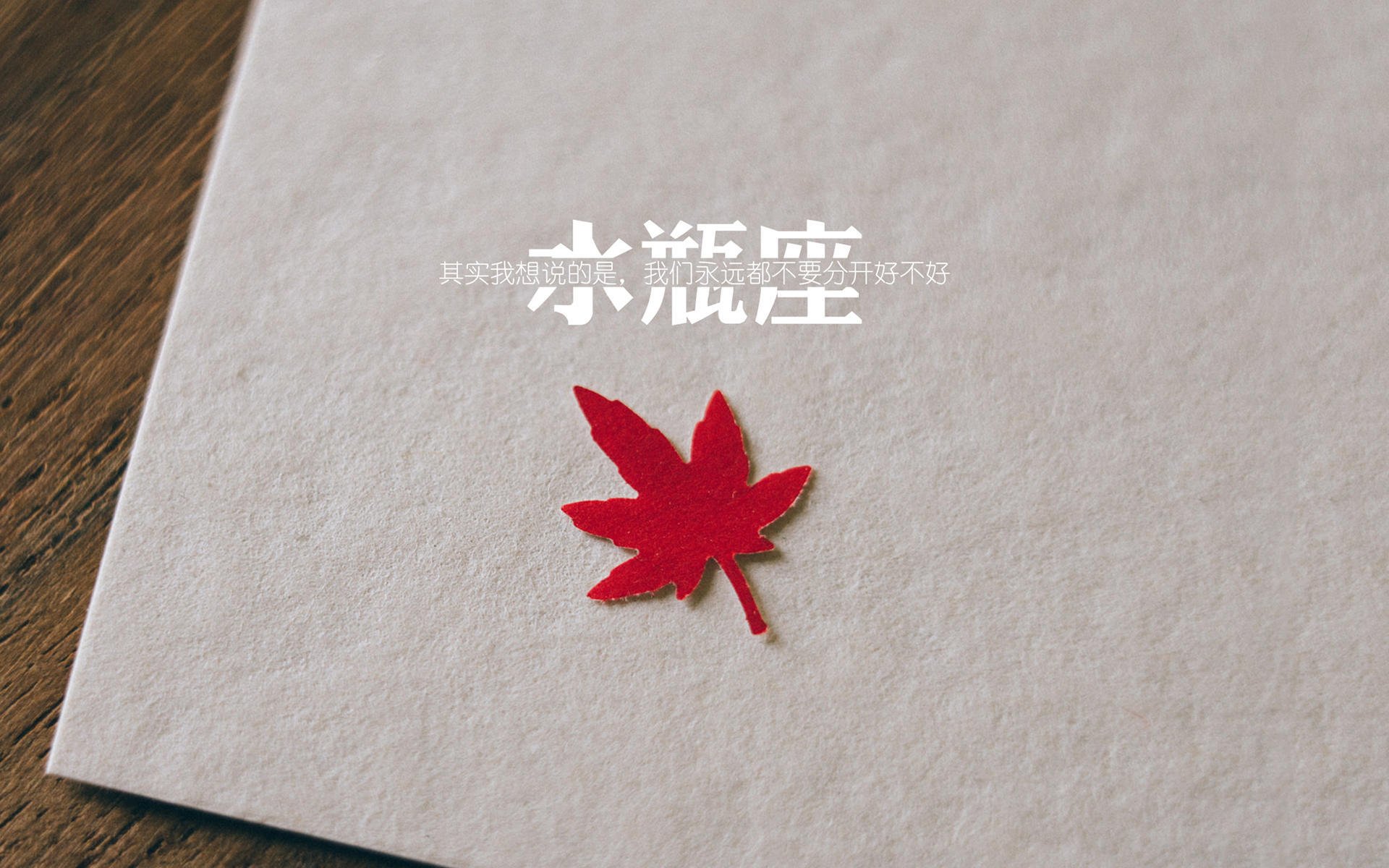 赛道上的星辰，阿拉巴在F1新赛季揭幕战之夜的高光时刻