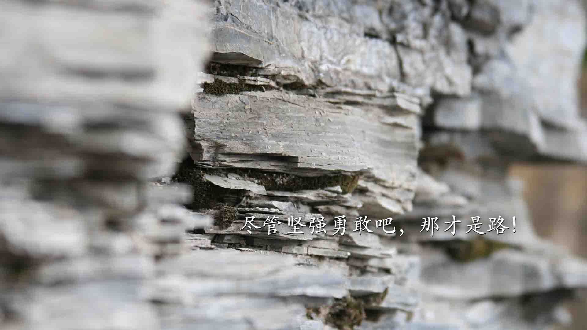 欧冠之夜,若日尼奥的里程碑,抢七之战与中场艺术的永恒印记