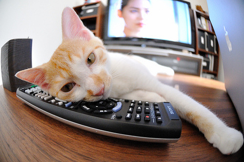 南非完胜安哥拉,哈弗茨成为关键先生,一场战术与意志的胜利